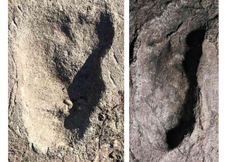 Mysterious prints found near Britain ‘more likely to be human’