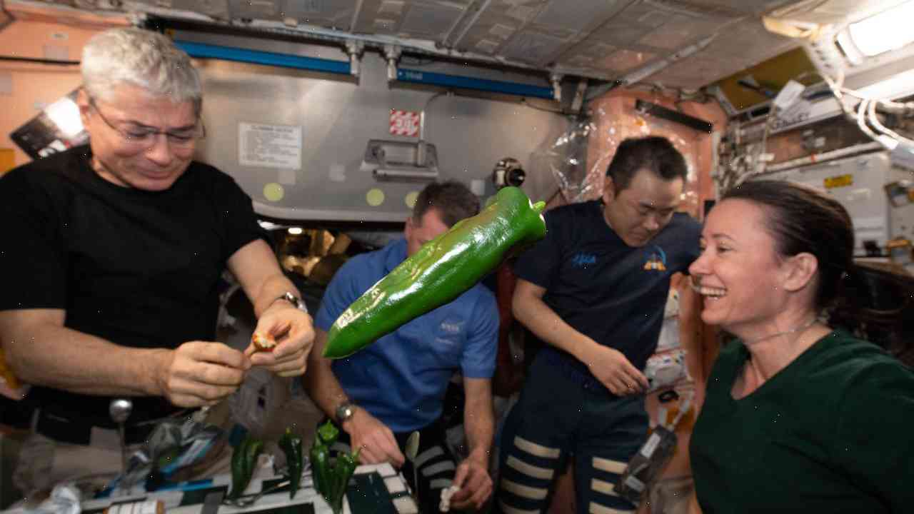 Houston! We have a pepper! Astronauts eat the view on the International Space Station