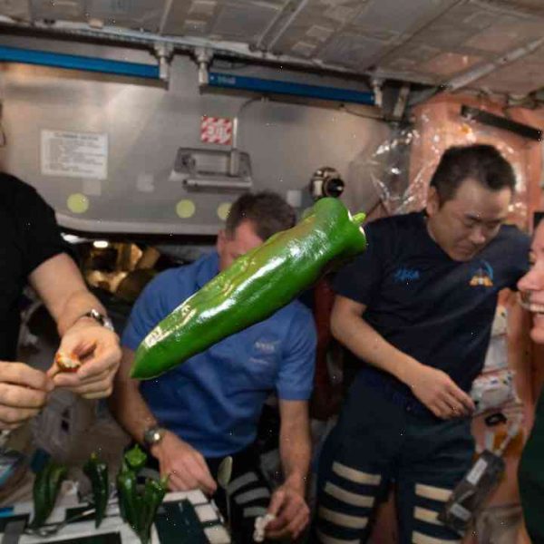 Houston! We have a pepper! Astronauts eat the view on the International Space Station